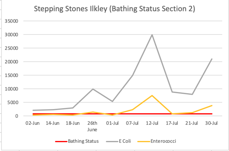 Stepping Stones Graph